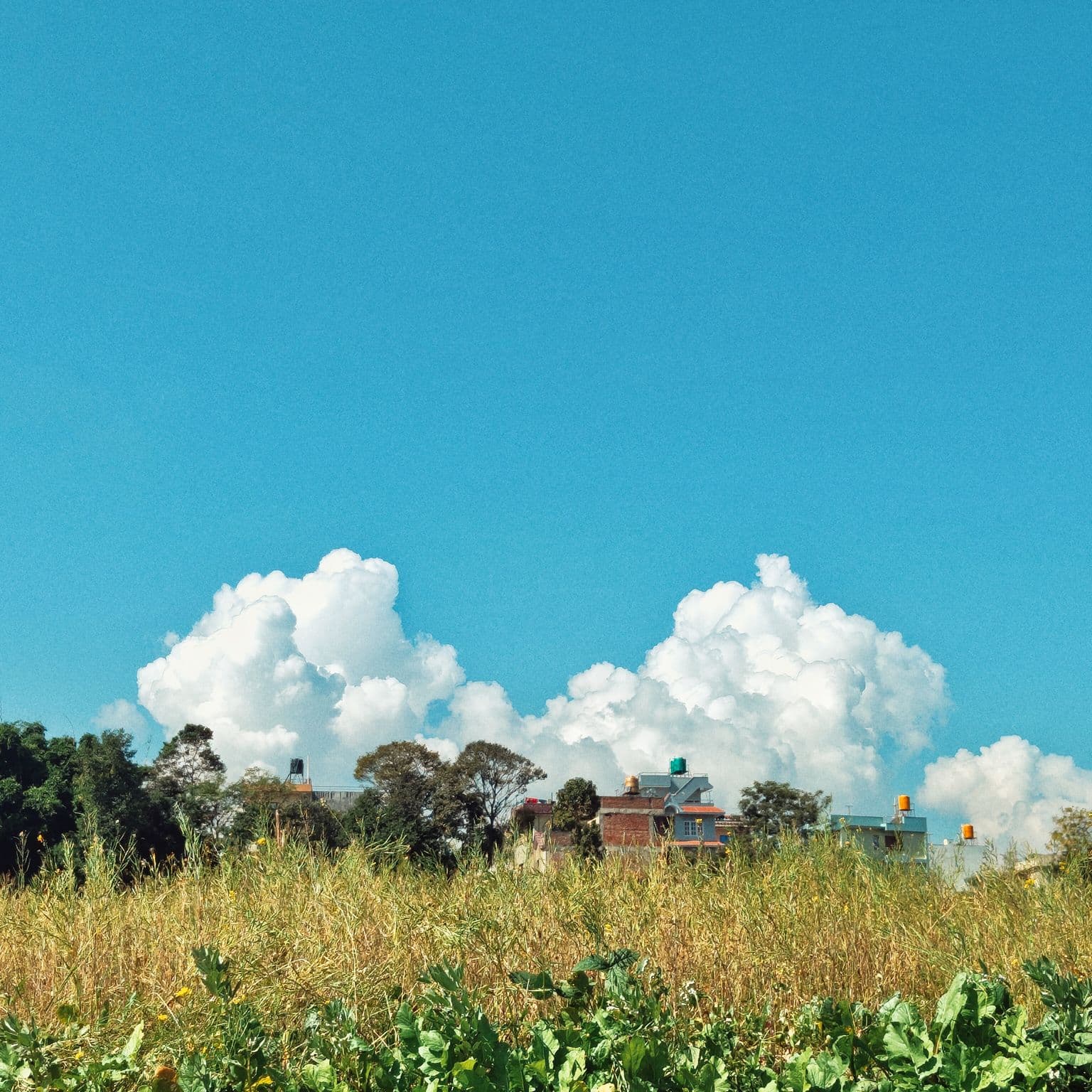 twin clouds peaking through