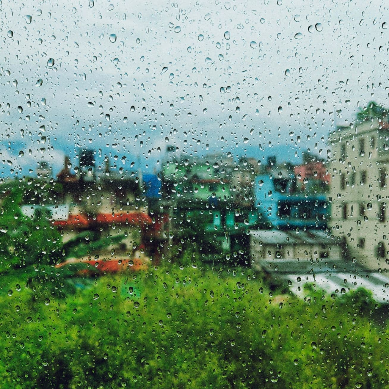 fresh droplets stickling on bus window for a ride