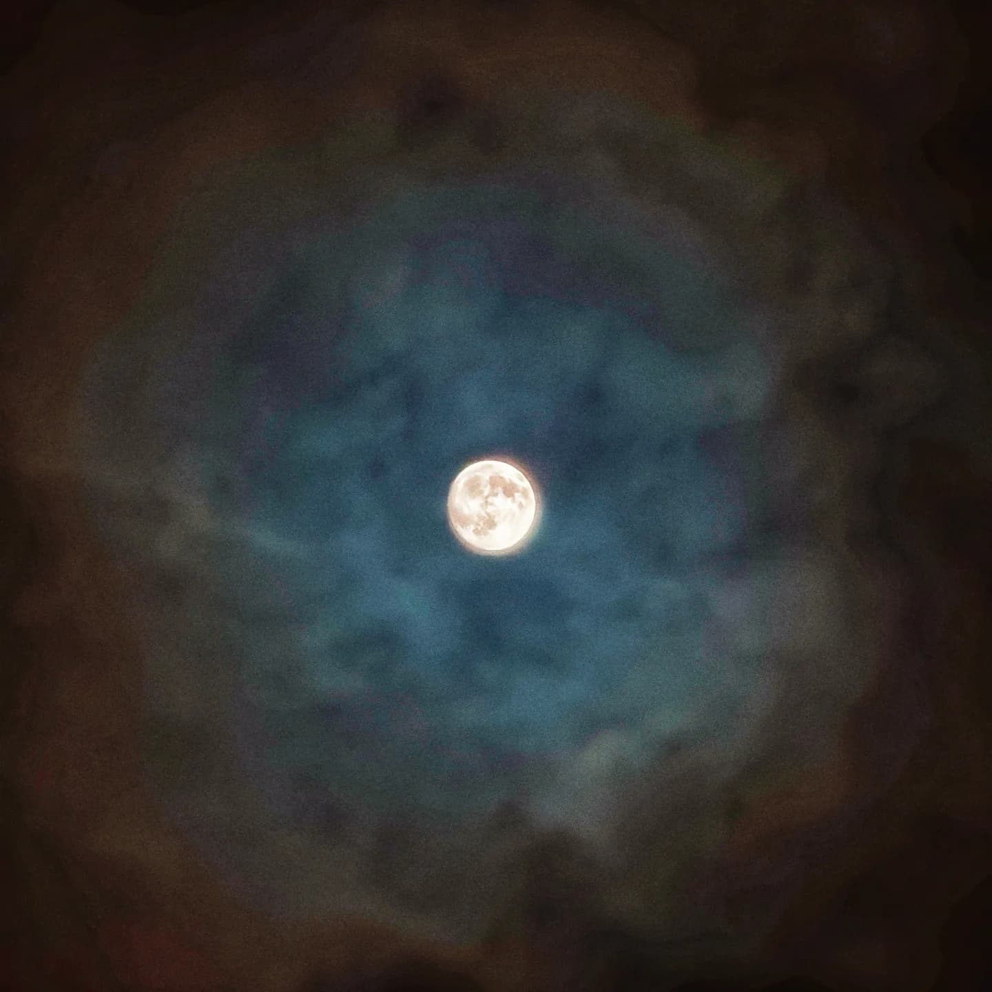 basking under the moonlight supernova