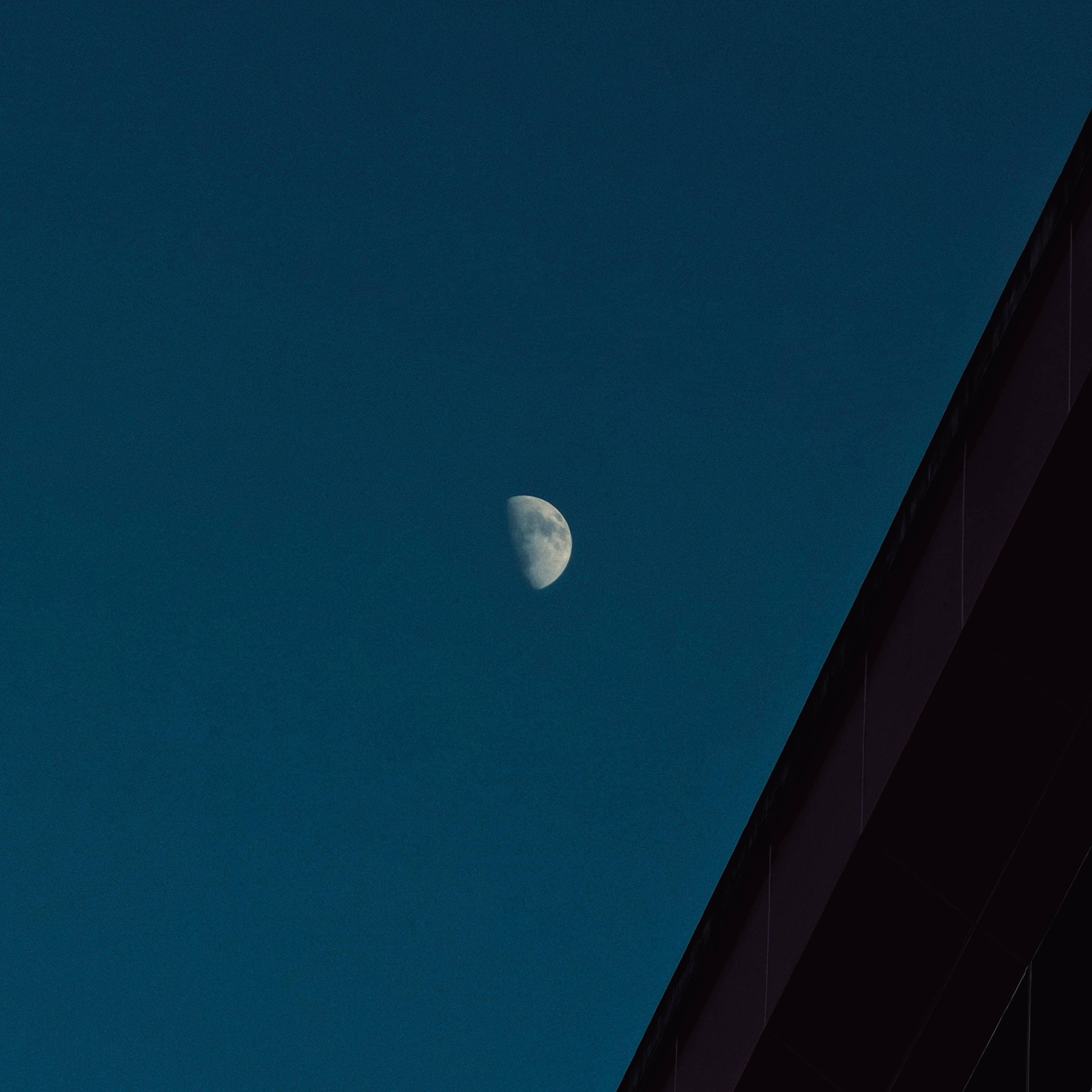 lonely moon on her way to the bloom